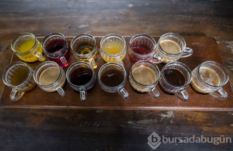 Dünyanın en pahalı kahvesi: Luwak kahvesi