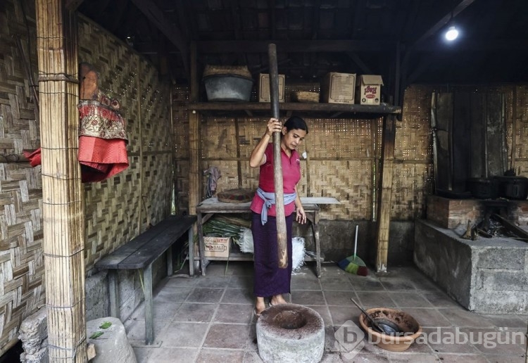 Dünyanın en pahalı kahvesi: Luwak kahvesi