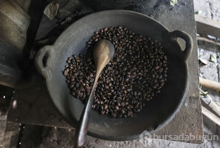 Dünyanın en pahalı kahvesi: Luwak kahvesi