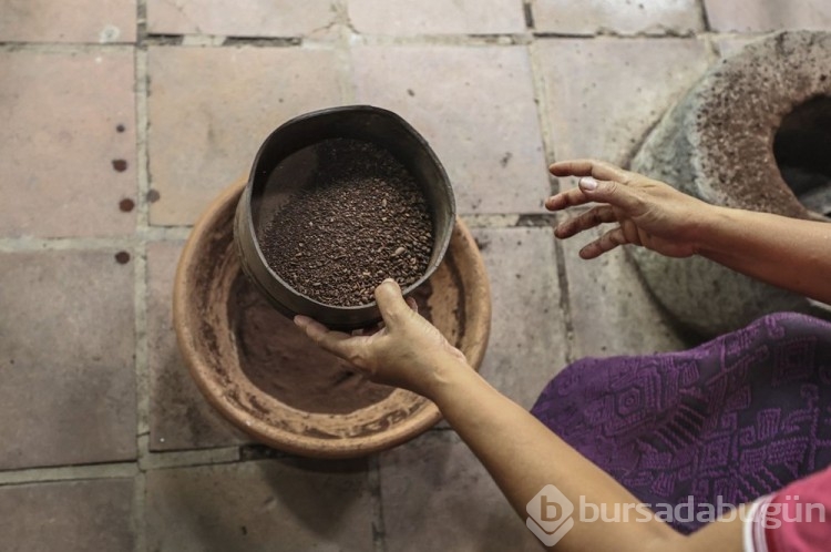 Dünyanın en pahalı kahvesi: Luwak kahvesi