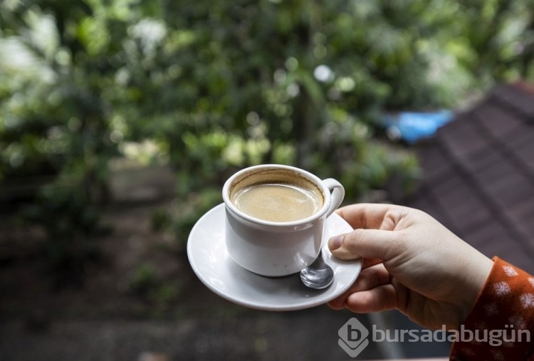 Dünyanın en pahalı kahvesi: Luwak kahvesi