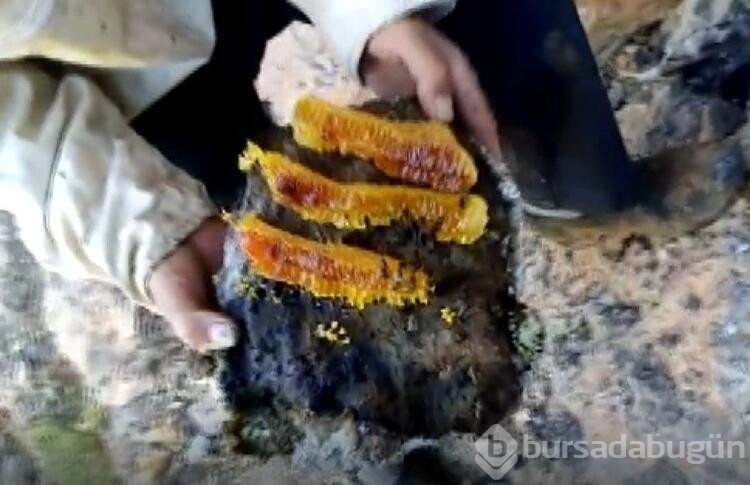 Balını 'taştan' çıkarıyor