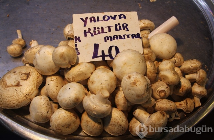 Bursa'nın meşhur Reyhan pazarında fiyatlar ne durumda?