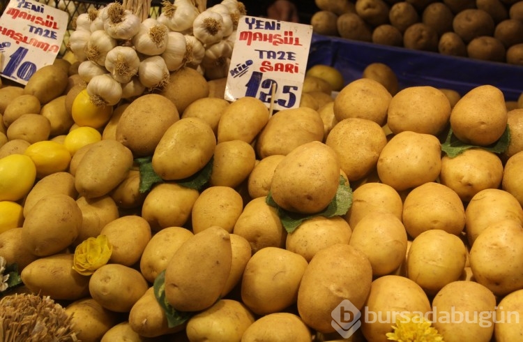 Bursa'nın meşhur Reyhan pazarında fiyatlar ne durumda?