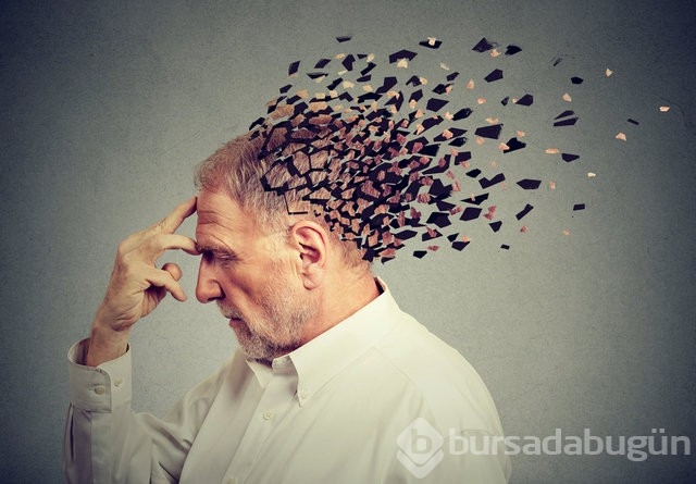Bu besinler Alzheimer ve Demansa iyi geliyor 
