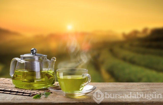 Bu besinler Alzheimer ve Demansa iyi geliyor 
