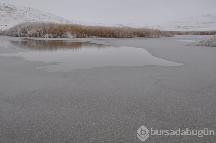 Kars'taki soğuk hava Göl dondurdu