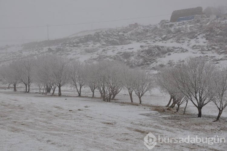 Kars'taki soğuk hava Göl dondurdu
