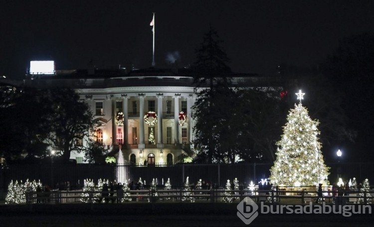 Washington'da Noel hazırlıkları
