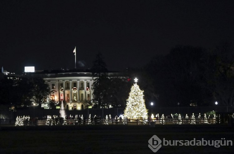 Washington'da Noel hazırlıkları
