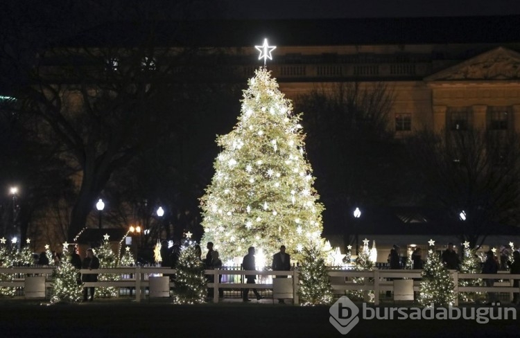 Washington'da Noel hazırlıkları
