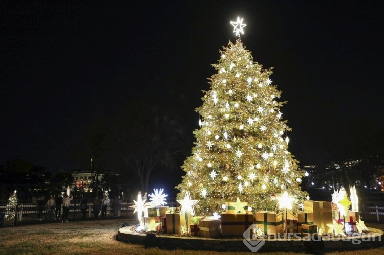 Washington'da Noel hazırlıkları
