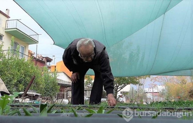 salep kış aylarının vazgeçilmezi oldu
