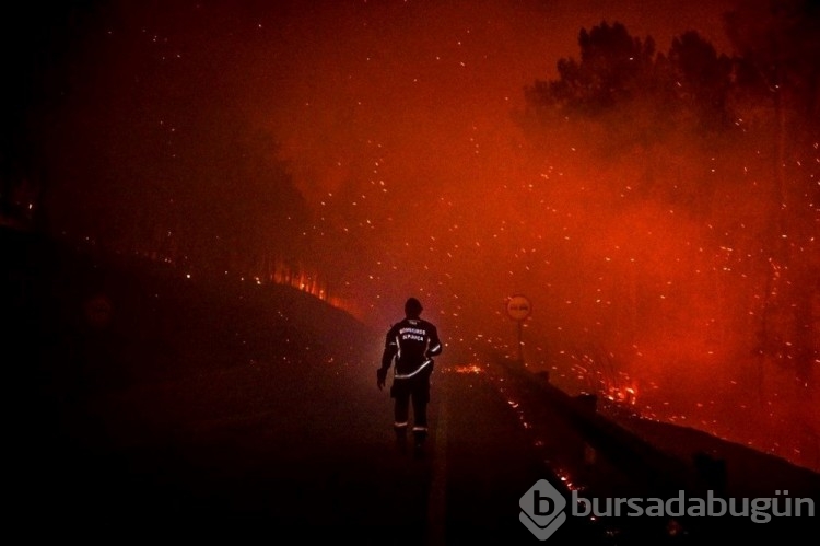 AFP 2022'nin önemli fotoğraflarını seçti