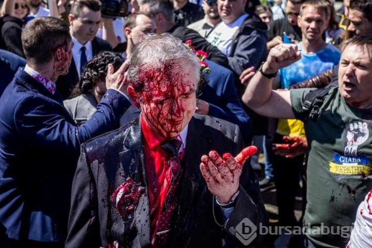 AFP 2022'nin önemli fotoğraflarını seçti