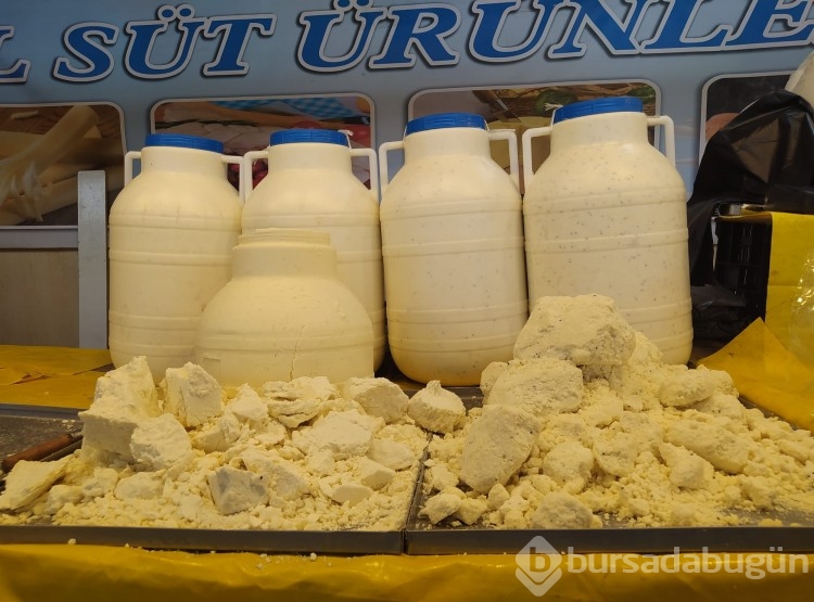 Kars, Ardahan ve Iğdır Bursa'da tanıtılıyor