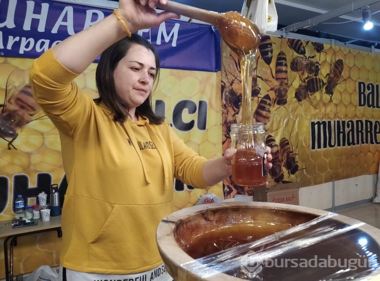 Kars, Ardahan ve Iğdır Bursa'da tanıtılıyor