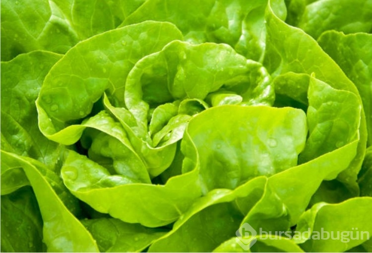 Meyve ve sebzeler hangi vitaminleri içeriyor?