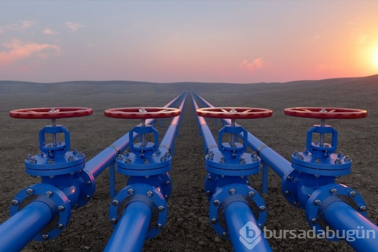 Avrupa'da enerji krizi: Asansör yasağı geliyor