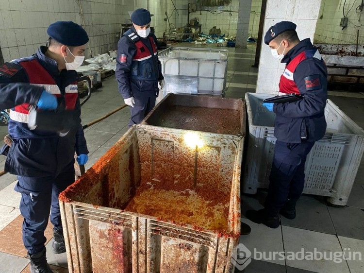 Besi çiftliğinde sağlığa aykırı salça üretimi
