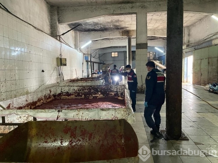 Besi çiftliğinde sağlığa aykırı salça üretimi
