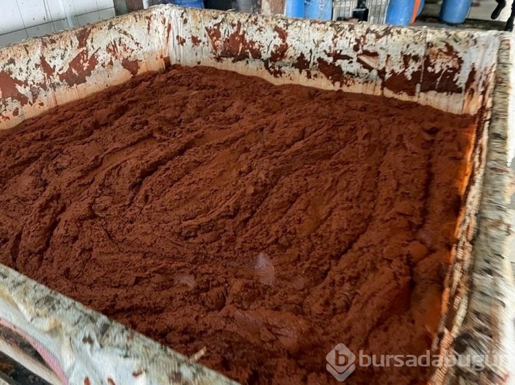 Besi çiftliğinde sağlığa aykırı salça üretimi
