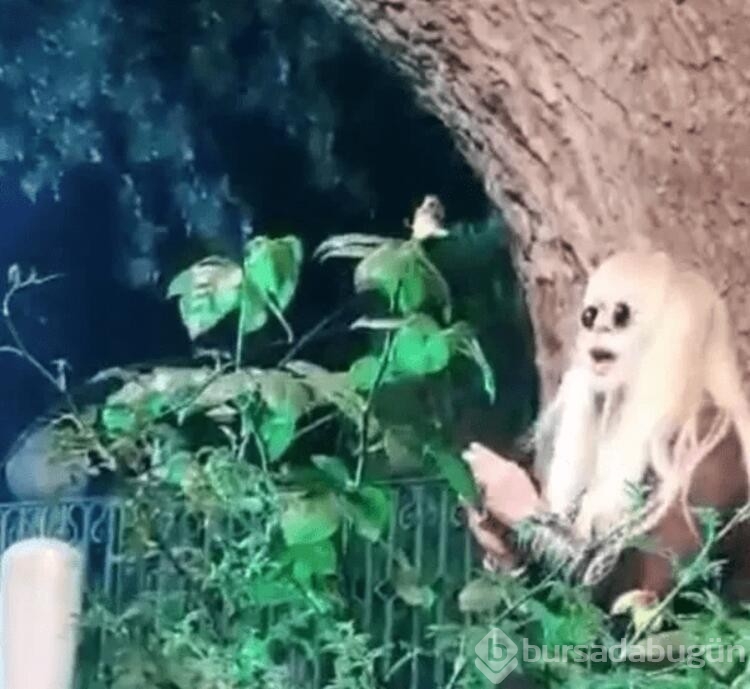 Zerrin Özer mezarlıkta şarkı söyledi! Herkesi şaşırttı...
