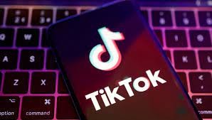 Tiktok'a yeni özellik mi geliyor?