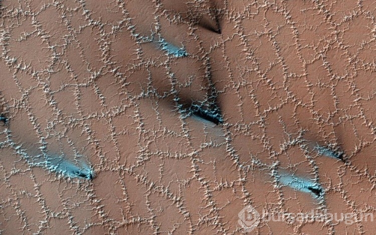 2022 yılının en iyi uzay fotoğrafları