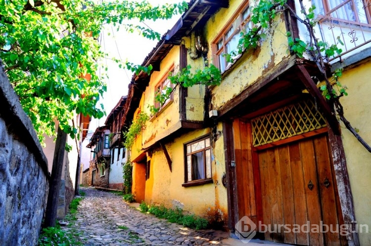 Dünyanın en iyi turizm geliştirme köyü: Cumalıkızık