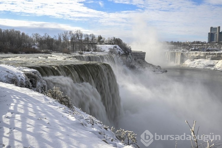 Niagara Şelaleleri dondu