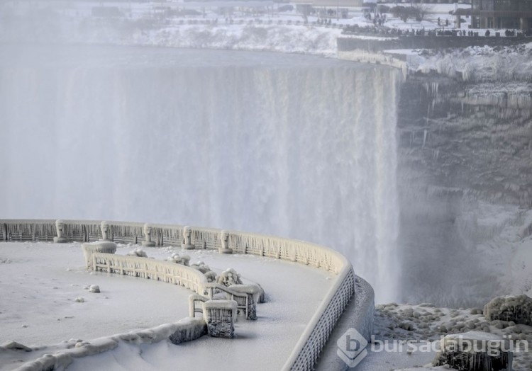 Niagara Şelaleleri dondu