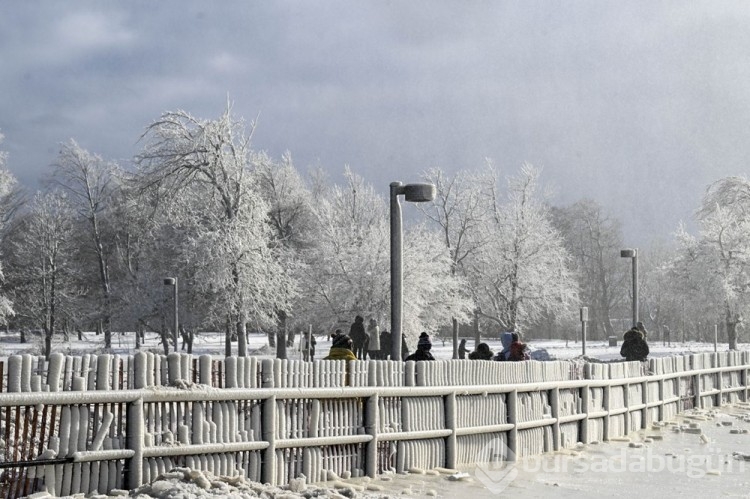 Niagara Şelaleleri dondu