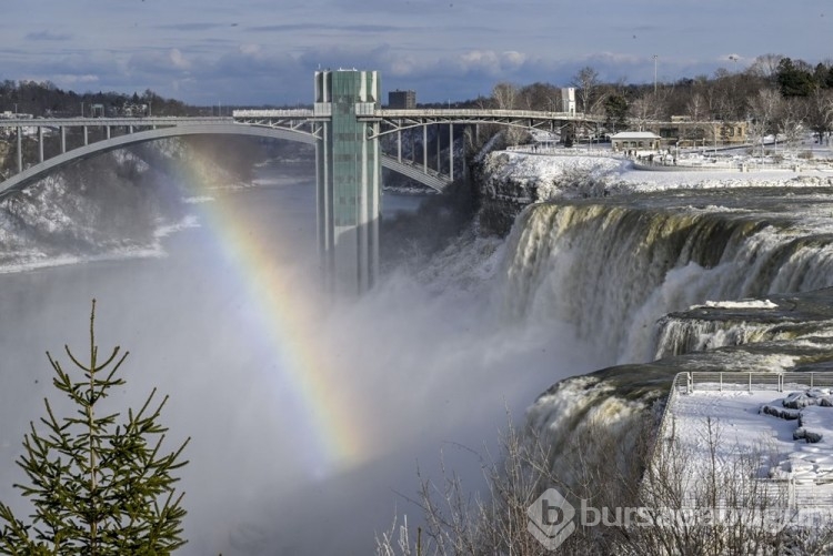 Niagara Şelaleleri dondu