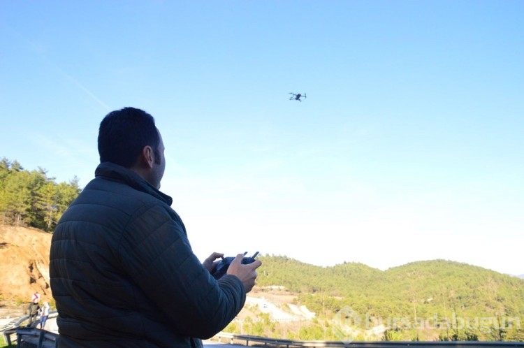 Ormancılar çam nöbetinde