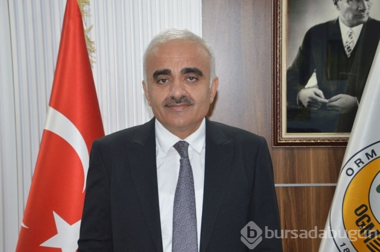 Ormancılar çam nöbetinde