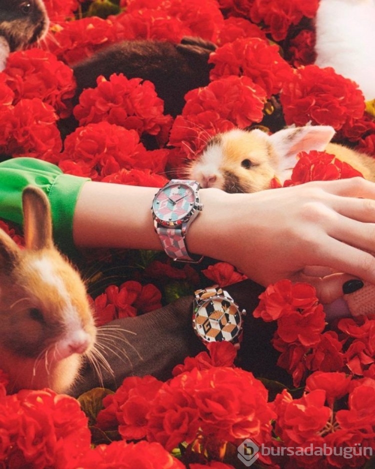 Gucci'nin renkli kampayası: Rengarenk