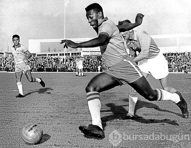 Siyah inci Pele 