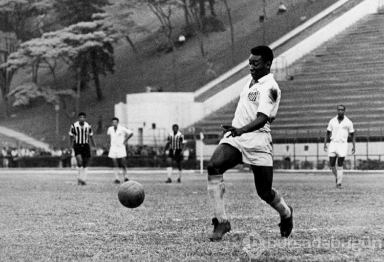 Siyah inci Pele 
