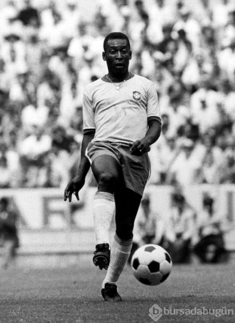 Siyah inci Pele 