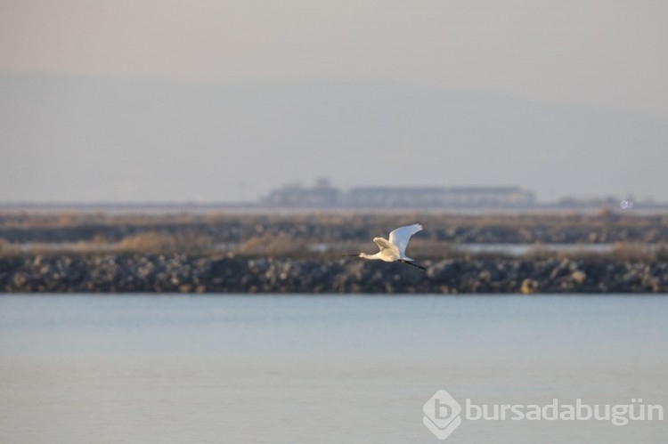 İzmir Kuş Cenneti'nden manzaralar
