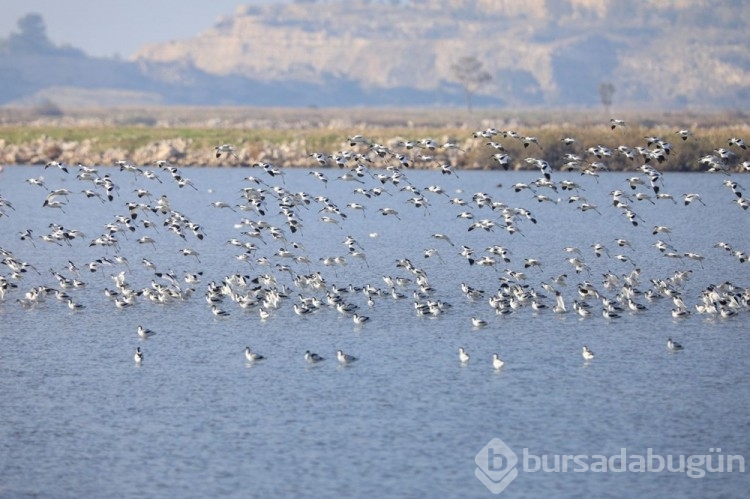 İzmir Kuş Cenneti'nden manzaralar
