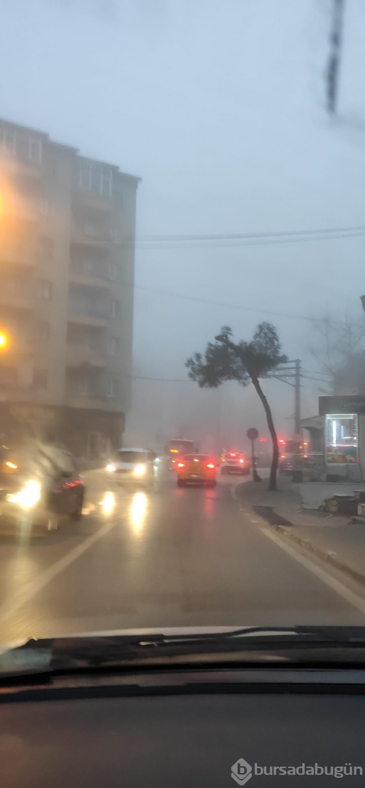 Bursa'dan sis manzaraları