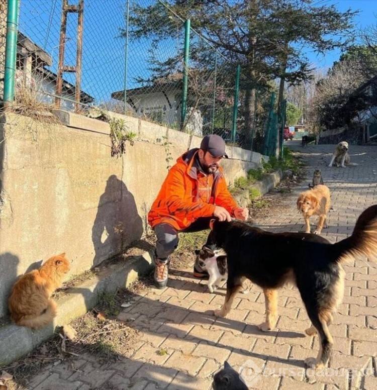 Burak Özçivit sokak köpeklerini unutmadı