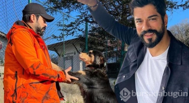 Burak Özçivit sokak köpeklerini unutmadı