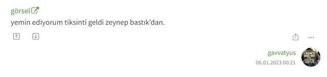 Ekşi Sözlük Zeynep Bastık'ın iç çamaşırını konuşuyor!