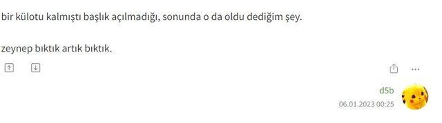 Ekşi Sözlük Zeynep Bastık'ın iç çamaşırını konuşuyor!