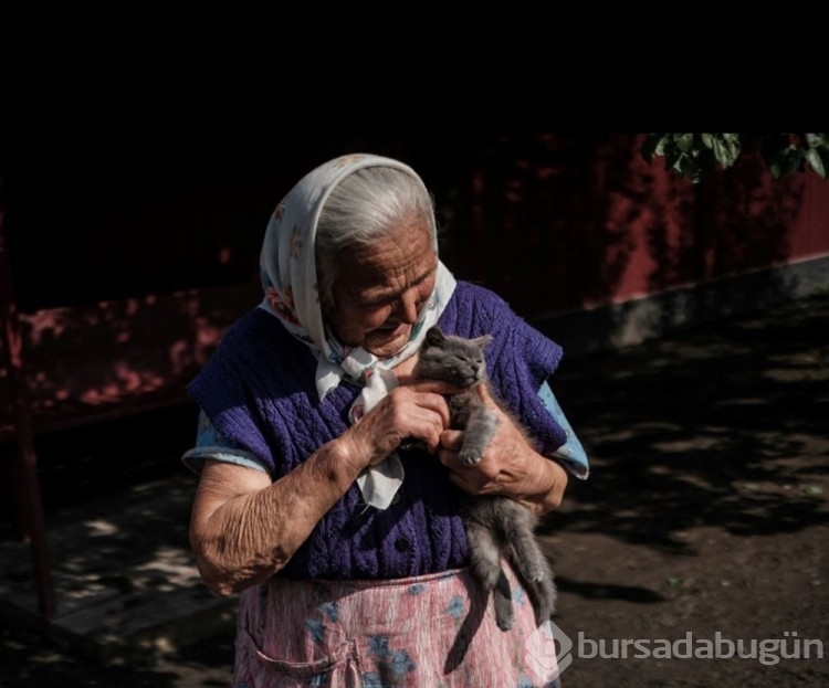 Ukrayna'da kedilerde cephede mücadele ediyor