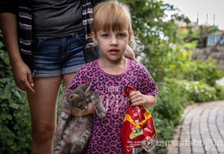 Ukrayna'da kedilerde cephede mücadele ediyor