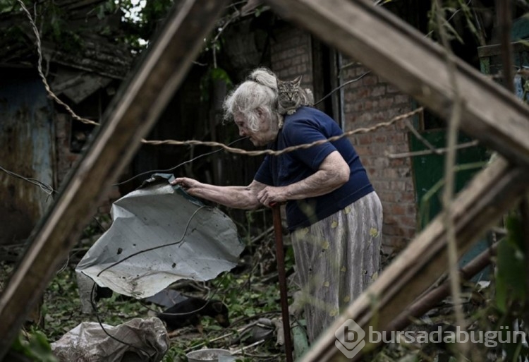 Ukrayna'da kedilerde cephede mücadele ediyor